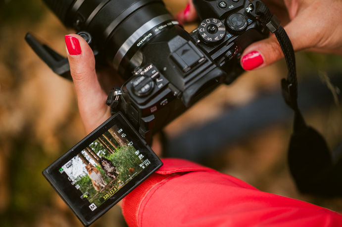 formation de photographie de chien en belgique Hautes Fagnes à Malmedy