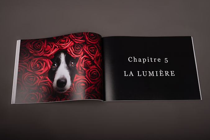 livre de formation photo chien