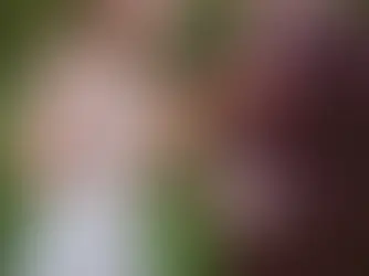 couple de mariés qui trinquent le jour de leur mariage en passant un moment seul avec leur coupe de champagne
