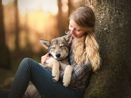 Idées de poses pour des photos maître / chien