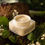 Thumbnail: Kopher Relief Consentrate Premium Cream (50ml)