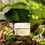 Thumbnail: Kopher Relief Consentrate Premium Cream (50ml)