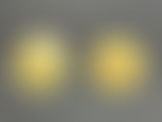 ベネズエラ & フランス 海外金貨