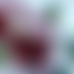 Lightning Bolt Cocktail Recipe