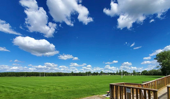 An Update Concerning the Lynn Davies Rugby Park