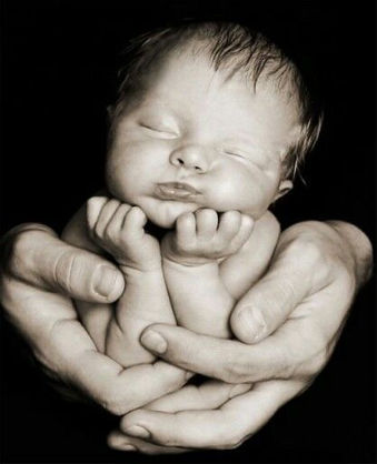 Newborn & Infant (Classic Studio Collection)