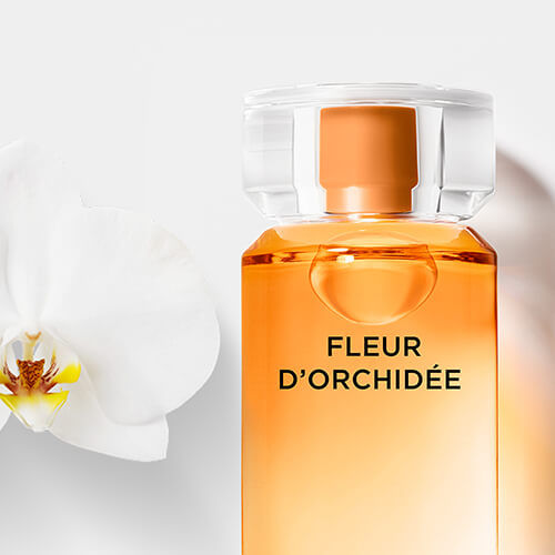 Karl Lagerfeld Fleur D'orchidee