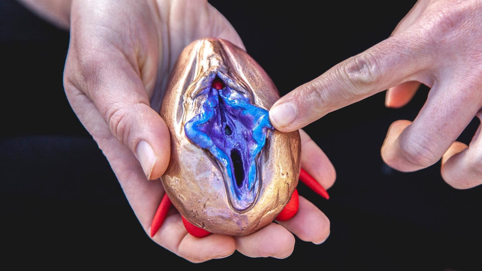 Bodysex Education: Vulva model for educational purposes