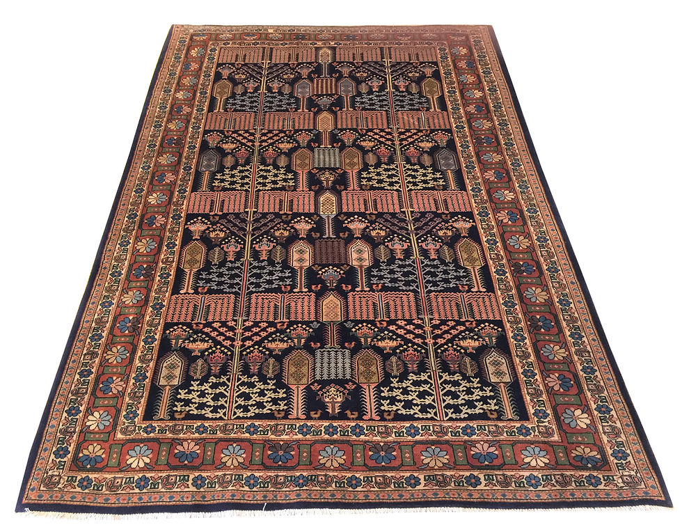 6A0056 Persian Bakhtiar 5.9x8.5