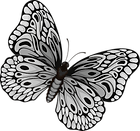 Butterfly Freedom