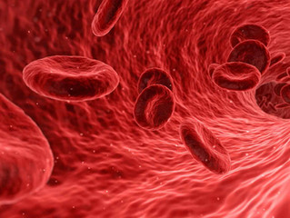Nutritional Blood Analysis, Stewart Analysis: Friday, Nov 22, 10:00 am - 5 pm
