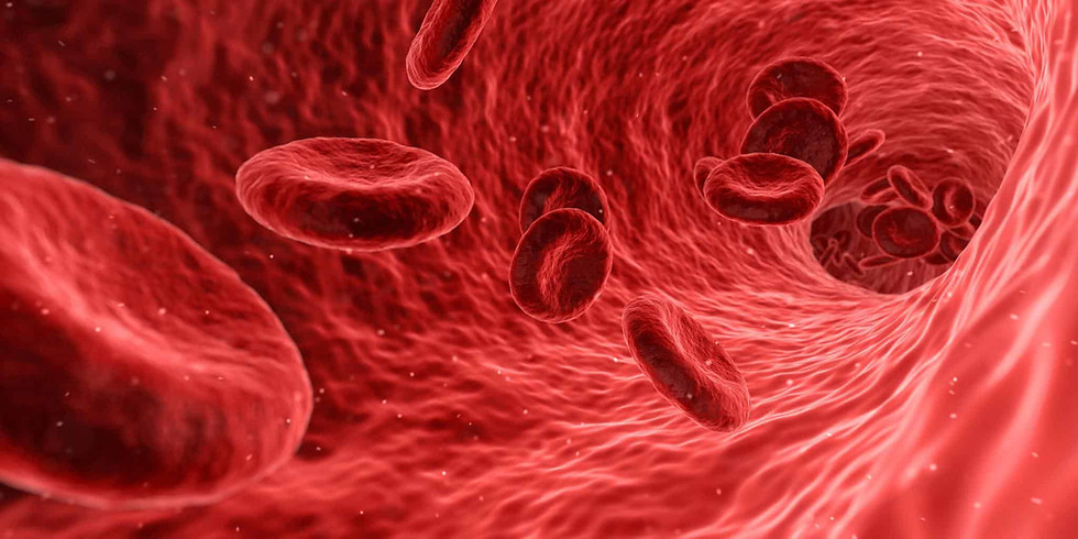 Nutritional Blood Analysis: MAY 21, 2021, 10 am - 6 pm