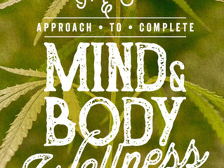 CBD Educational Seminar: Jan 27, 11 am - Noon