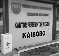 Kaibobo