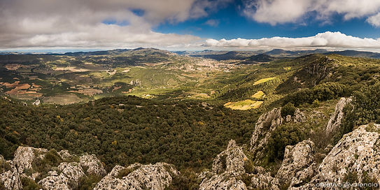 font-roja-otono-fotografia-objetivo-vale