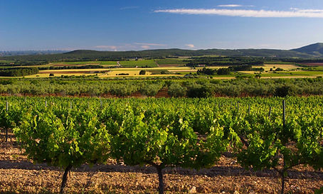 wine country ride