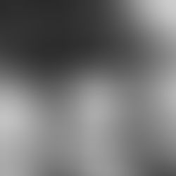 Välkommen bakom kulisserna på Cavito Equestrian