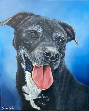 Pet portrait