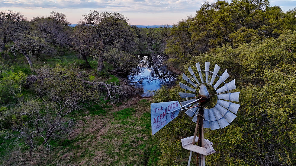 Sound and Sight: A Nature Symphony