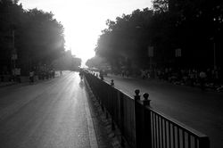 Shady Boulevard