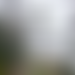 Learning to be DECISIVE...