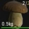 1502352686_preview_boletus.jpg