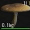 1502352686_preview_agaricus.jpg