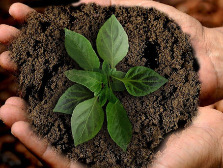 What are the 3 principles of sustainability in building and construction?