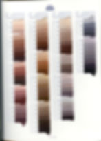 DMC Tapestry Wool Colour Chart Pg5