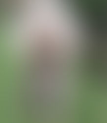 実際に我が家でおこなっていること