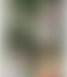 愛犬のことを理解できれば、あなたと愛犬の生活は変わる