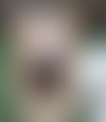 愛犬のお散歩について