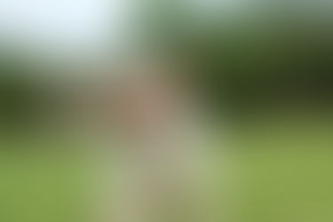 愛犬と一緒にスポーツを始めませんか?