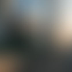 Photo of the Museum of the Future in Dubai