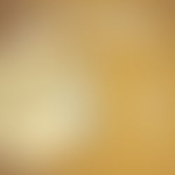 「中秋,不僅是團圓的日子,也是重新認識彼此的時刻。」- 護老者小梅