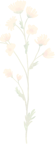 flowers lower left.webp