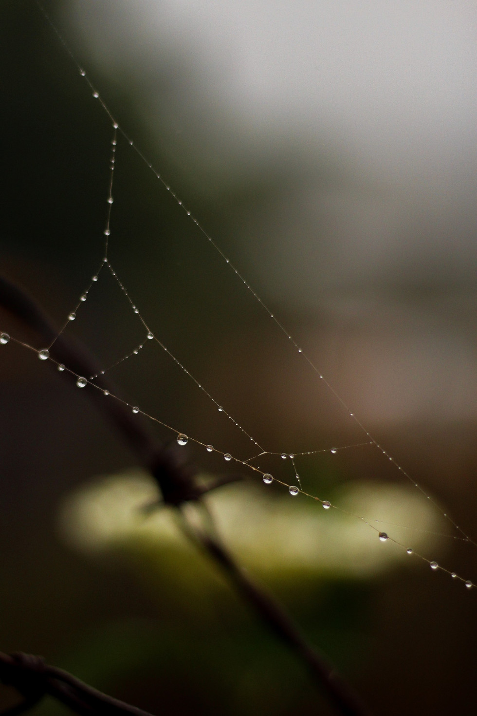 Drops