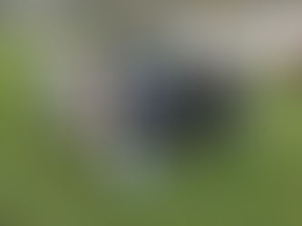 RDV avec les arbres _ 1 arbre offert par la Communauté d’Agglomération Pau Béarn Pyrénées a été planté par les élèves de l'école d'Arbus