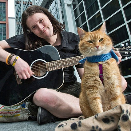 Un Gato Callejero llamado Bob