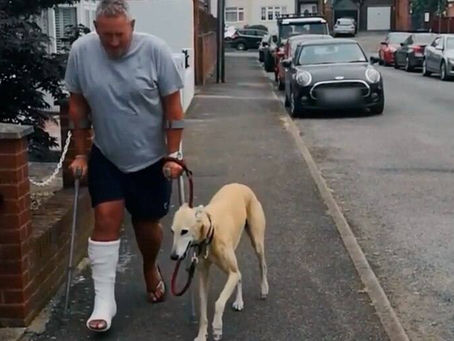 Un perrito que cojea por empatía.