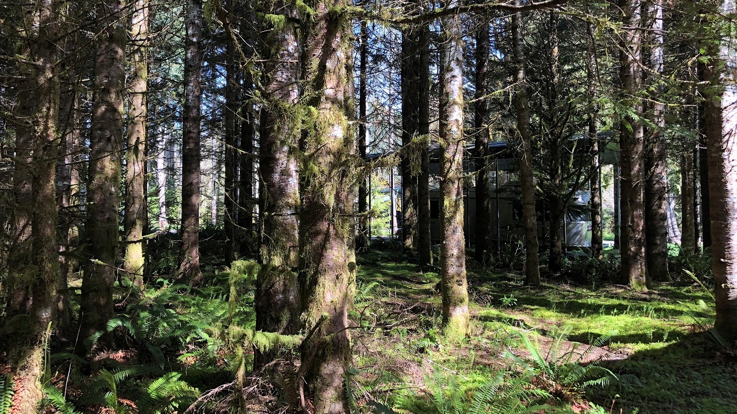 ELKAMP — photo 2