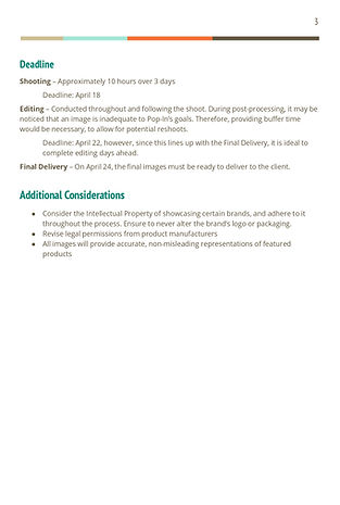 Ella Zawada Project Brief (1)_page-0003.jpg