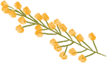 AEnB2Urm-6YoU3Z3hT5OaoVRlryDrtArJyr1Jii7