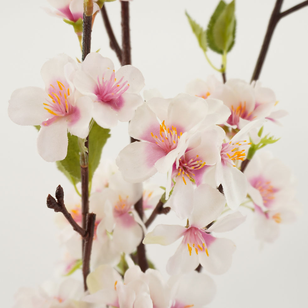 Thumbnail: CHERRY BLOSSOM 51IN (3 COLORS)