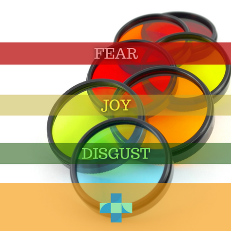What are the emotional building blocks that make up complex emotions such as anger & sadness?