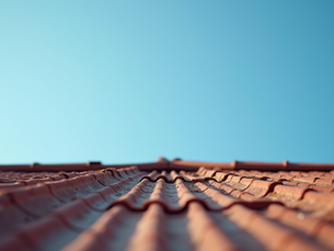 Essential Roof Maintenance Tips for Homeowners
