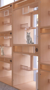 CATSTLE CAT BOARDING