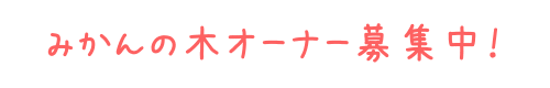みかんの木オーナー募集中.gif