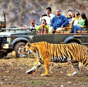 Jim Corbett Trip