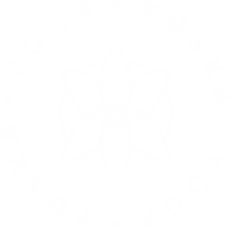 51.png